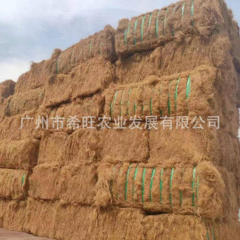 鸟椰棕丝绿GYQ化草覆盖盆栽椰丝铺面椰壳丝料窝窝椰丝垫盆栽椰棕