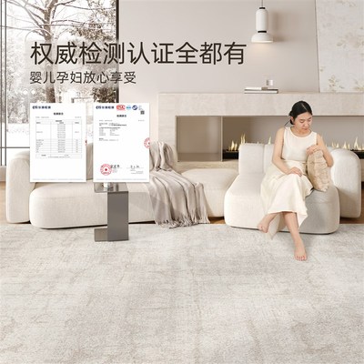 卧室地毯免打理客厅家用床边毯大面积全铺沙发地垫加厚防滑可擦洗