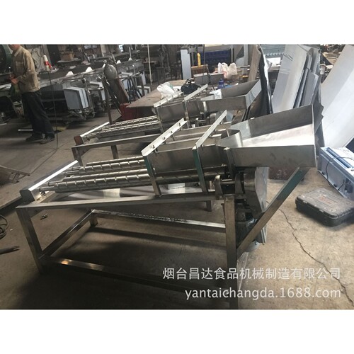 小型樱桃分选机