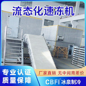 冻结不结块全自动商用食用速冻生产线西兰花无花果薯条速冻机厂家