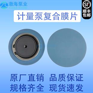 赛高计量泵配件SEKO复合膜片MS1A094 MS1B108 MS1C138 MS1C165