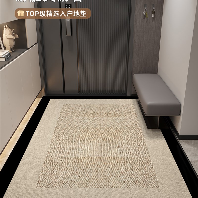 入户门地垫玄关进门口可擦免洗蹭土脚垫高级感可裁剪耐脏防滑地毯