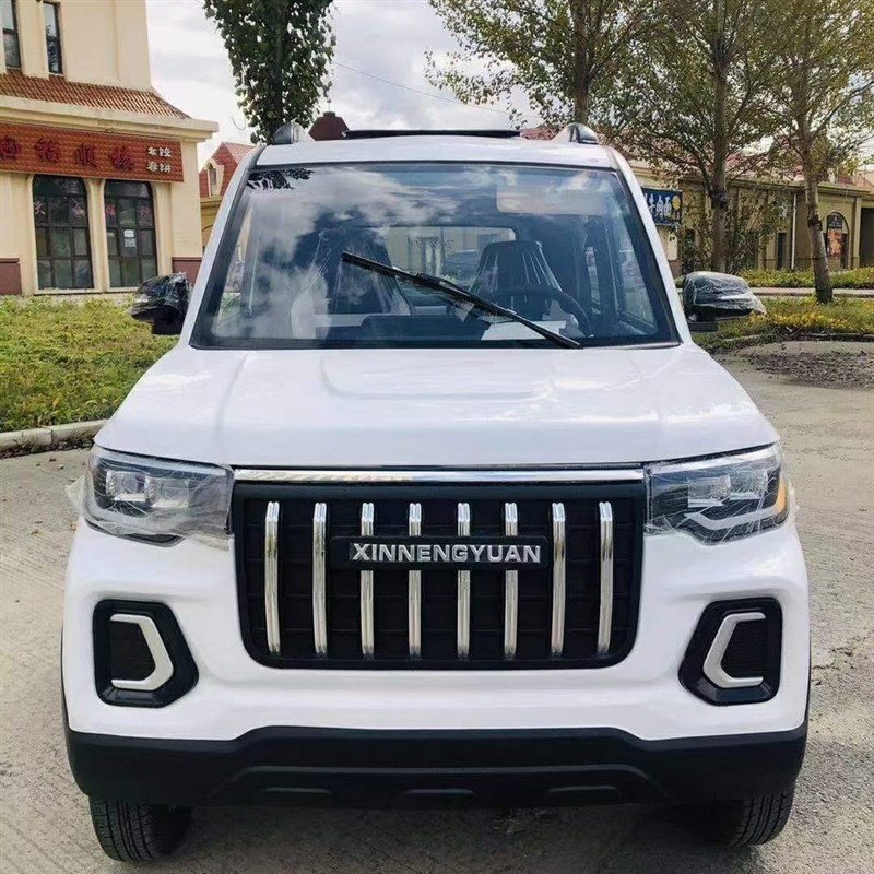 新款新能源四轮电动汽车成人家用女性H代步轿车油电两用接送孩子