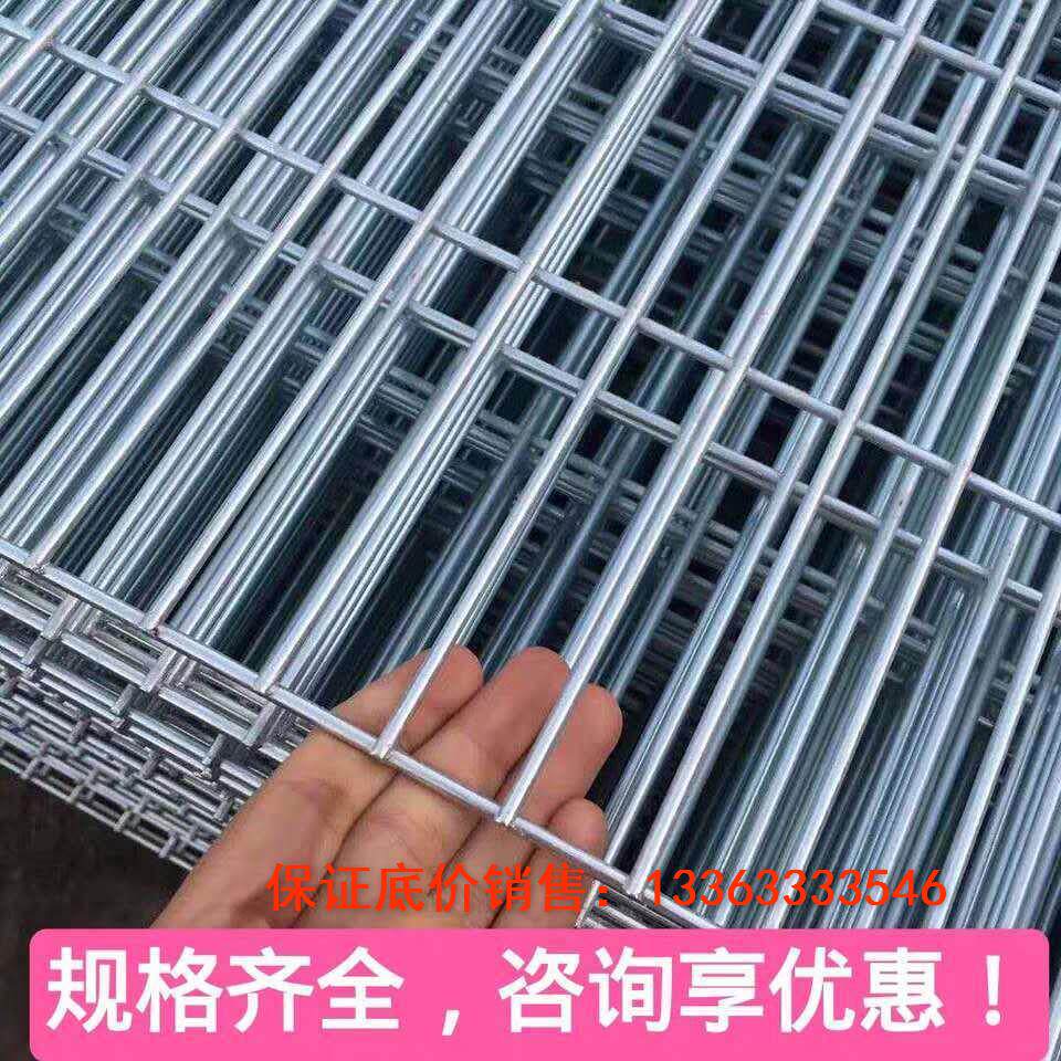 镀锌铁丝网片小孔加粗养殖网鸡鸽子狗笼I养殖建筑钢筋长孔电焊网