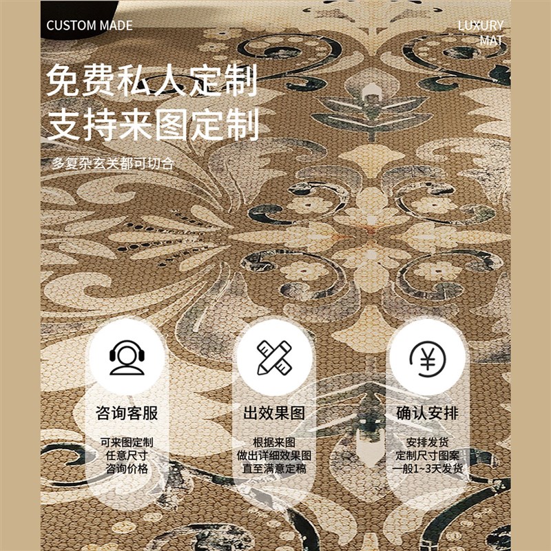 2024年新款地垫入户门垫防滑玄关大门口垫子进门脚垫欧式家用地毯