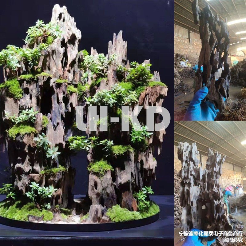 虾木造景镂空鱼虾躲避屋繁殖罐龙骨木观赏水草定植莫斯蜂窝木沉木