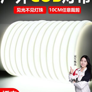 灯带led灯条220v客厅超亮吊顶户外防水霓虹气氛灯摆摊专用灯带条