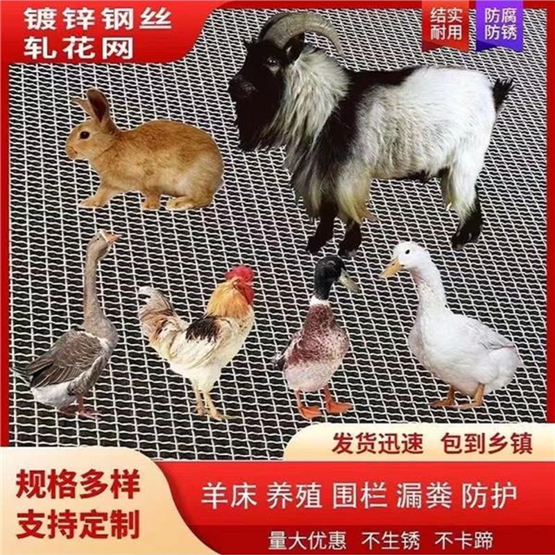 羊床漏粪网养羊鸡鸭鹅漏粪网底养殖围栏网热镀锌编织羊床钢丝网