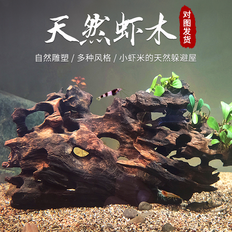 天然虾木沉木蜂窝木造景水族微景观鱼虾躲避屋鱼缸造景装饰观赏虾