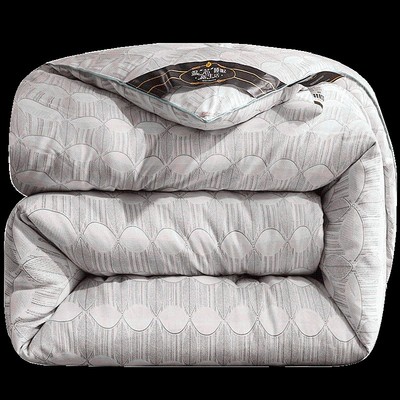 加厚保暖丝棉被芯冬天冬被双人单人春秋被秋季冬被8/10斤冬季被子