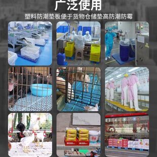 塑料防潮垫板拼接式网格板超市垫板仓库隔板冷库地垫仓促货架垫高