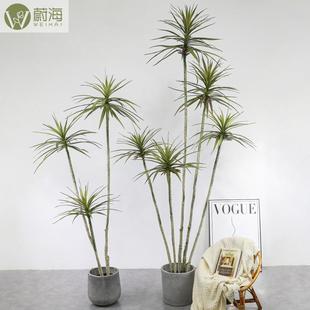 仿真客植针葵型室内厅高端装大饰落WH地仿生龙舌兰树丝兰绿树针葵