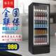 啤柜酒饮料展示柜小型单箱冷藏立750冰式 商用蔬菜水果保门鲜超市