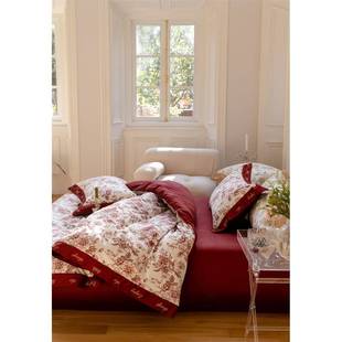 xyt100支长绒纯棉色丝滑贡庆缎裸睡F66T955床上四件套全棉棉新中