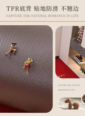 中皮入户门垫PVC门垫红色可擦地95923免洗脚垫子家用懒人式防滑革