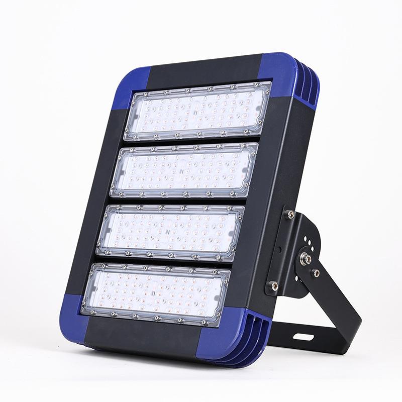 LD模组投光户外防水隧道灯50W灯100W15KD-TGD-MW200W高杆0灯球场