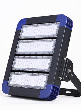LD模组投光户外防水隧道灯50W灯100W15KD-TGD-MW200W高杆0灯球场