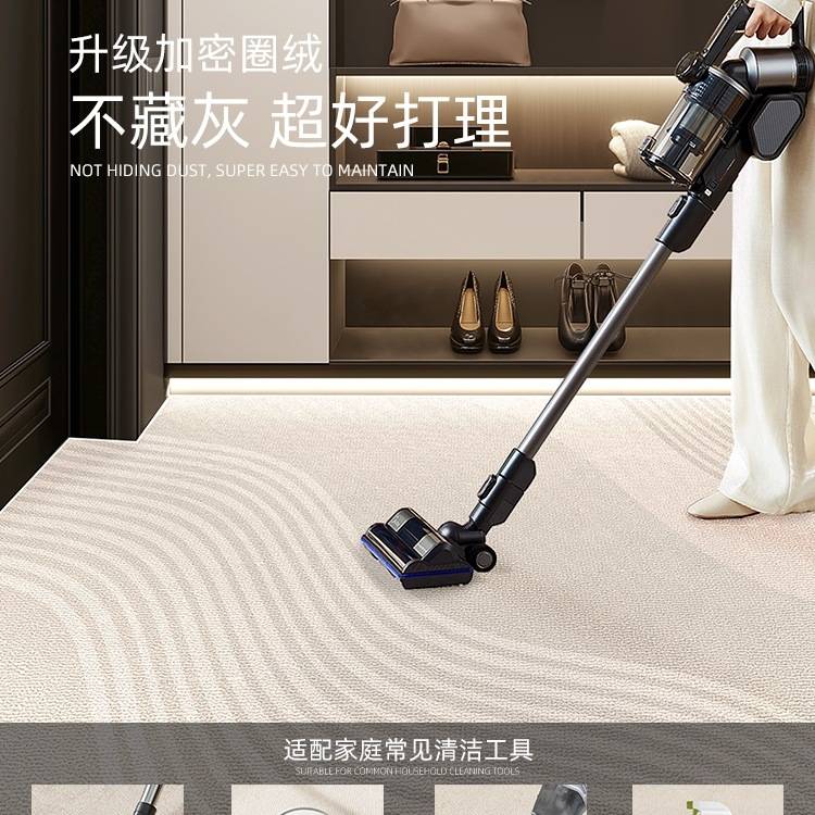 2025新款简约现代家用室外耐脏入户门垫可门厅进门踩脚垫地垫