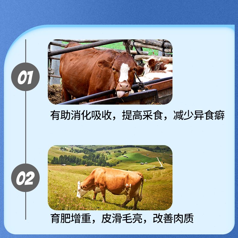 动物预混料高肥生促增重肥牛解维育质饲料添加剂长电维生素反刍催