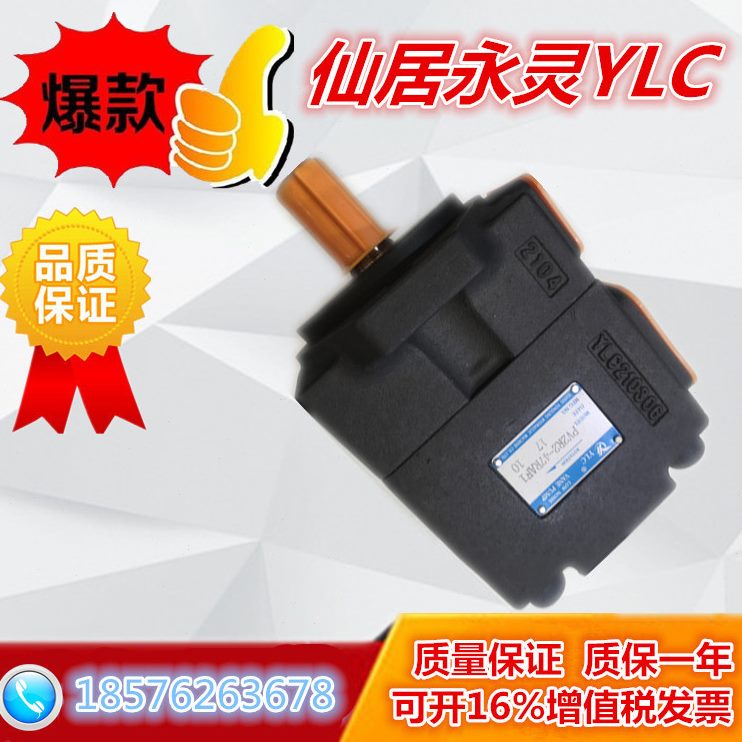 1V2-1R-121 F1液压泵仙10FLR1C叶片泵FV2P居永灵定PR YP量1V214-