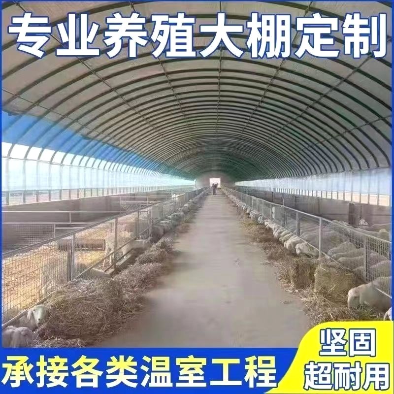 养殖棚全套保温大棚全套隔热养鸡棚鸭棚鹅棚M羊棚牛棚猪棚大棚骨