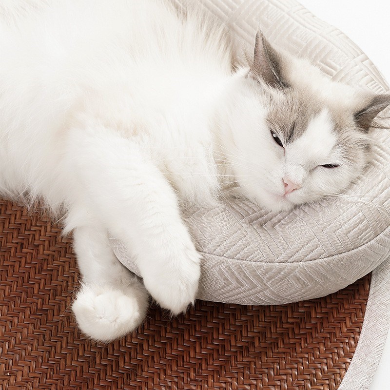 猫窝凉垫夏季冰垫睡垫猫咪降温凉席地垫猫垫子睡觉用宠物四季垫子