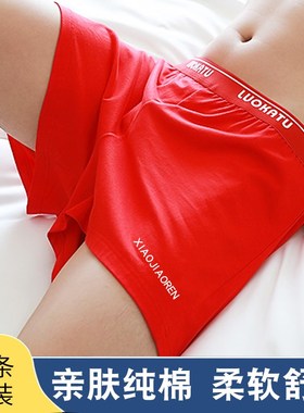 本命年红色男士内裤纯棉阿罗裤宽松透气男生青少年大码四角平角裤