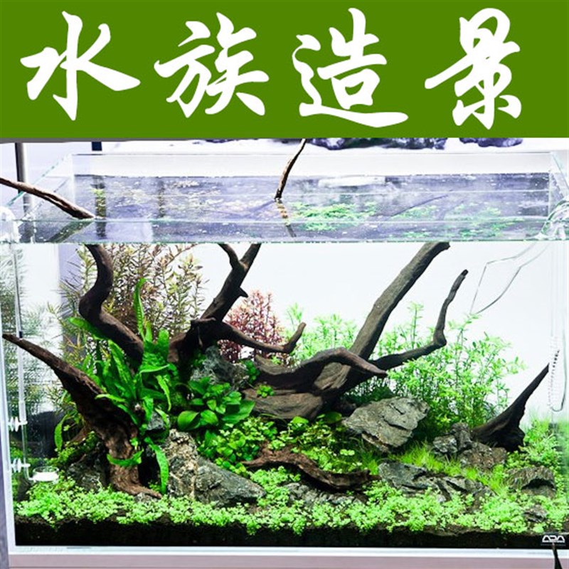 沉木造景套餐装水族箱躲避鱼缸超白缸水草缸水族箱鱼缸