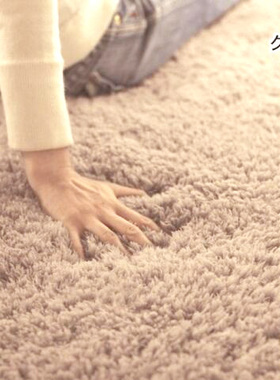 现货 可水洗不掉色欧式羽绒毛地毯客厅卧室茶几地毯床Z边满铺飘窗