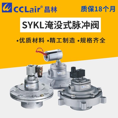 淹没式脉冲阀SYKL,DYM-89图尔波型3寸SQP-Y-75S泰山式阀CD-III-80