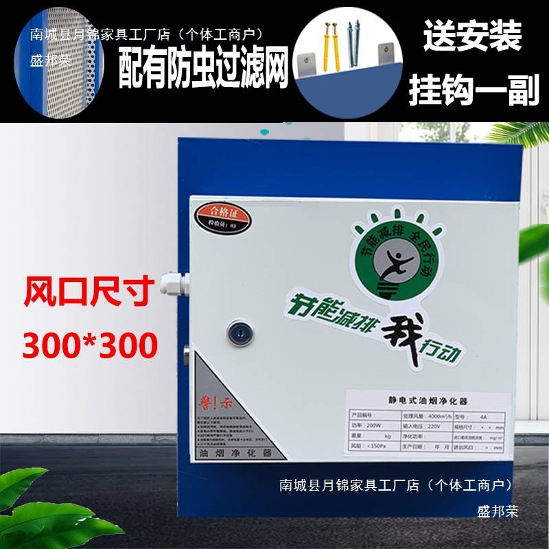 包邮油烟净化器4000风量小型饭店商用厨房餐饮静电式油烟分离器无