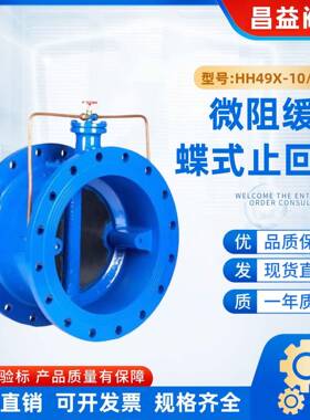 微阻缓闭蝶式止回阀球墨铸铁/碳钢铸钢/不锈钢HH48HH49X-16Q/C/P