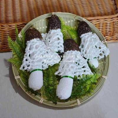 松茸羊肚菌展示区假食物黄菜品模型饭店黑红蘑菇食用菌牛肝菌其他