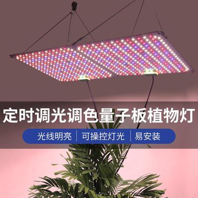 境lYDVed量子板植物灯全光谱可调定光时多肉补跨上光色灯growligh