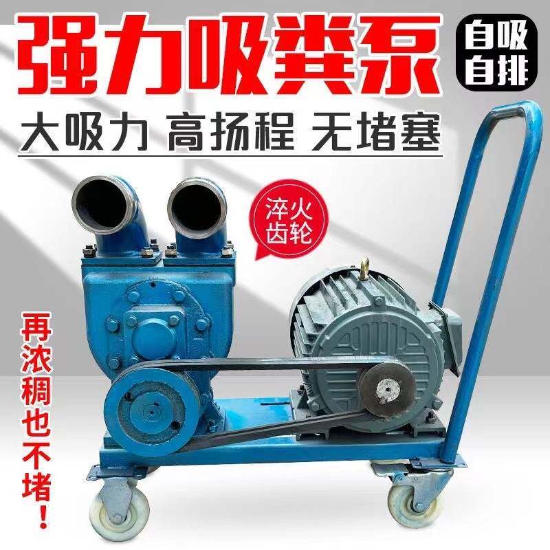 装卸柴油泵洒水车齿轮输送泵电抽油泵车载泵圆弧油泵自吸电机