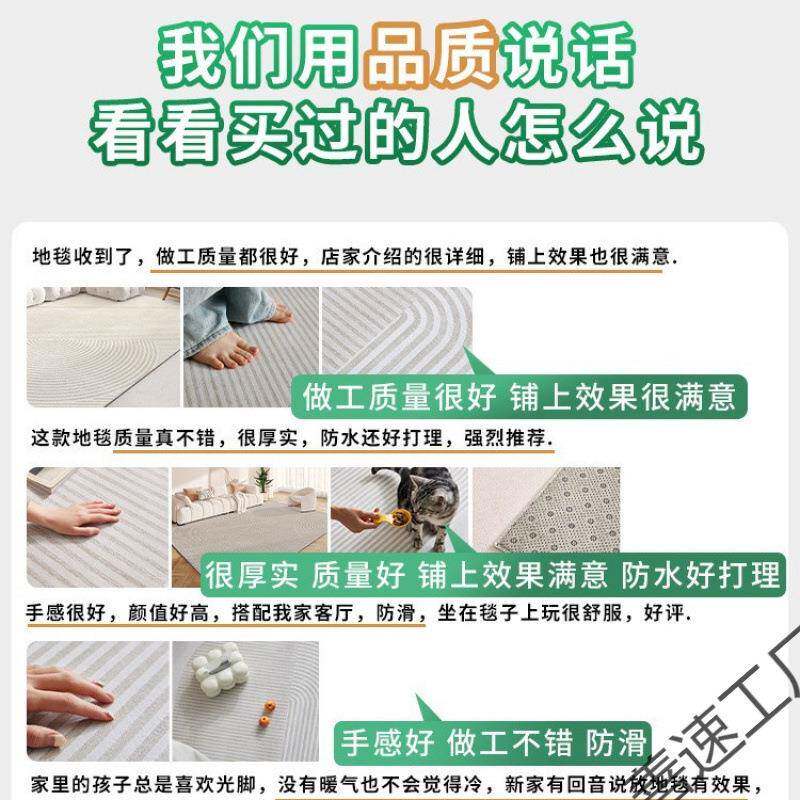 防擦地毯客厅免可水防善速污新款白色法洗式奶油风免打理地垫卧室
