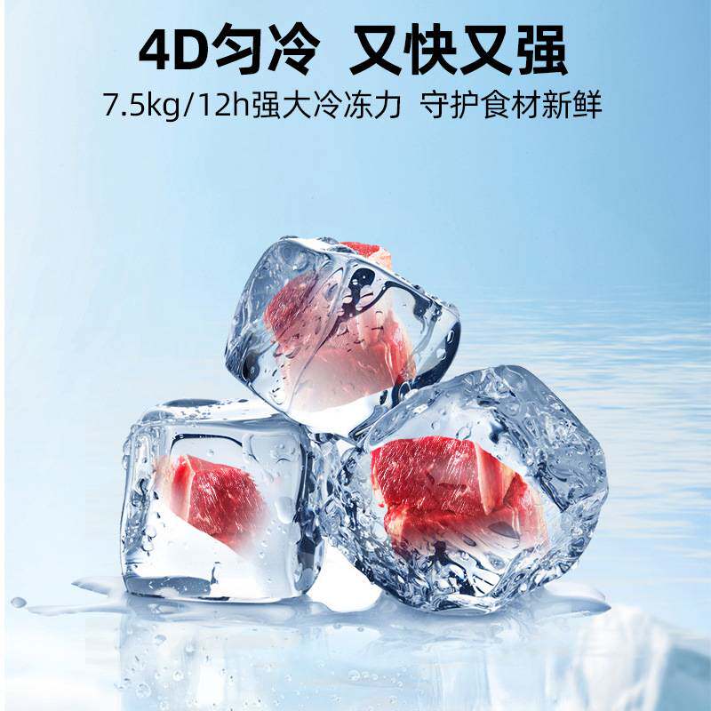 XINGX星星双温230升冰柜冰箱冷柜家用商用小型冷藏保鲜冷冻两用柜