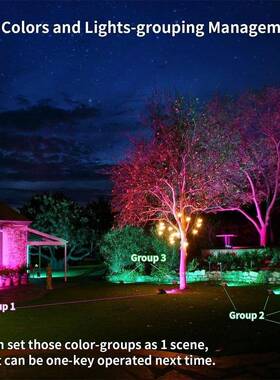 跨境投光灯tuya智能户外泛光灯RGB庭院遥控远程控制50W100W亚马逊