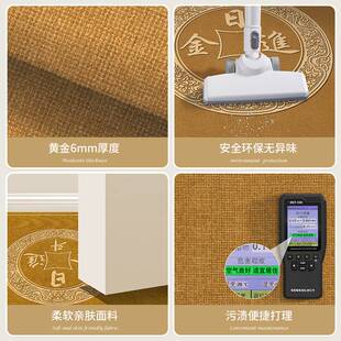 土黄色地垫新中式入户门门口门垫进门蹭土玄关防滑脚垫风水地毯垫