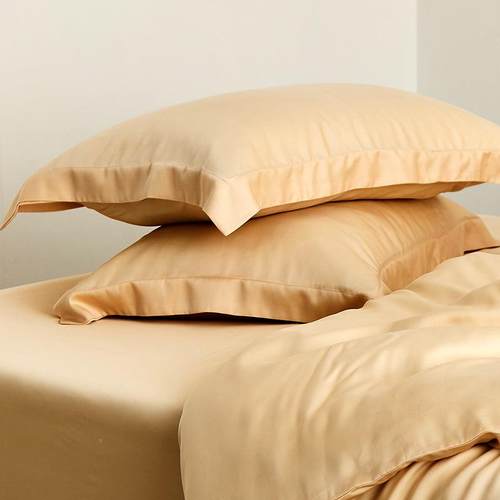 A5F87MJT97L真丝枕套一对装冰单丝夏季丝枕头套人绸纯色大成人加