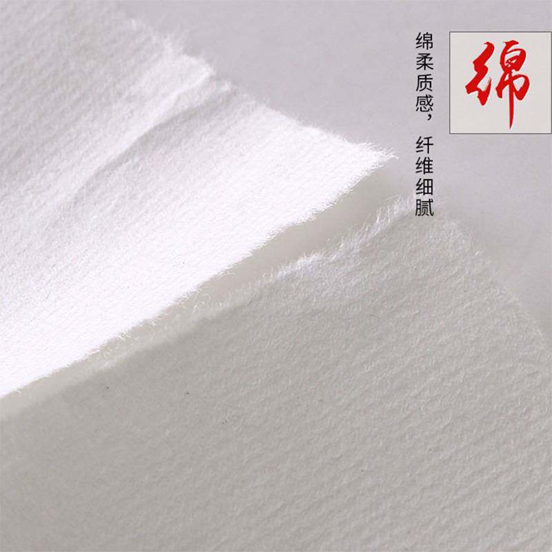 书画纸半生半熟全生书法国画作品纸全熟初学者毛笔字练习六尺整张