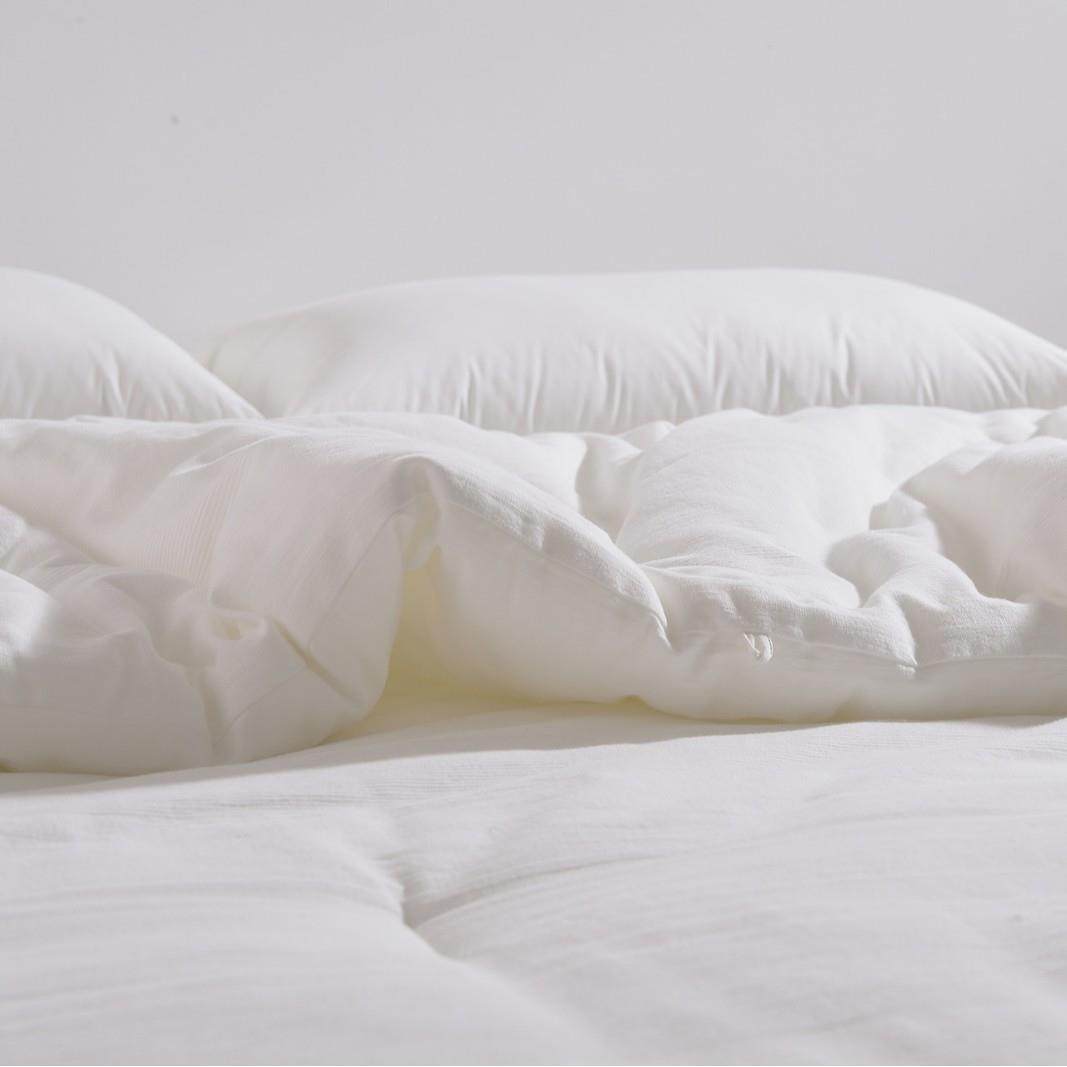 类治西川素棉被子棉被单双人秋明冬95被柔A软亲被肤保暖裸睡通用