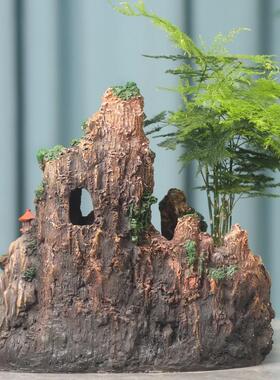 箐楷山花盆脂树摆件造景绿植室内QK689860场式景装饰客厅盆景假中