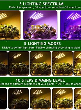 五YNK补头支架落地光灯全光谱室内长遥灯控伸缩生5管三脚支架植物