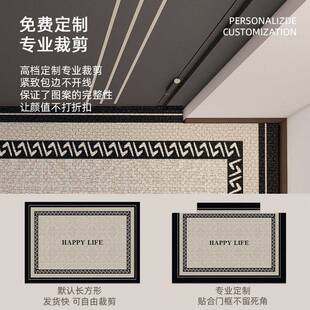 加厚免洗门口地垫防滑一抹净地毯家用入户门玄关脚垫轻奢