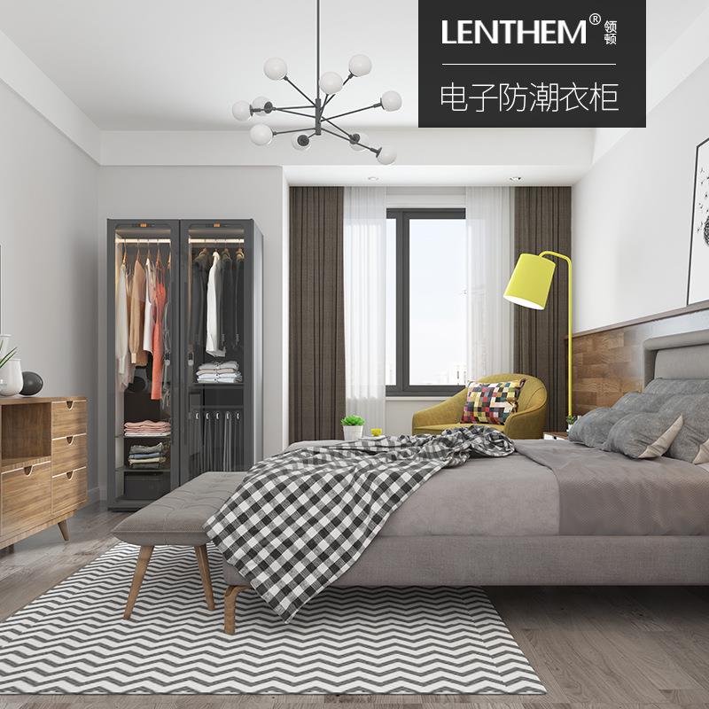 领顿（LENTEHM）电子防潮衣柜DW-600D双门开放式轻奢衣橱储物柜