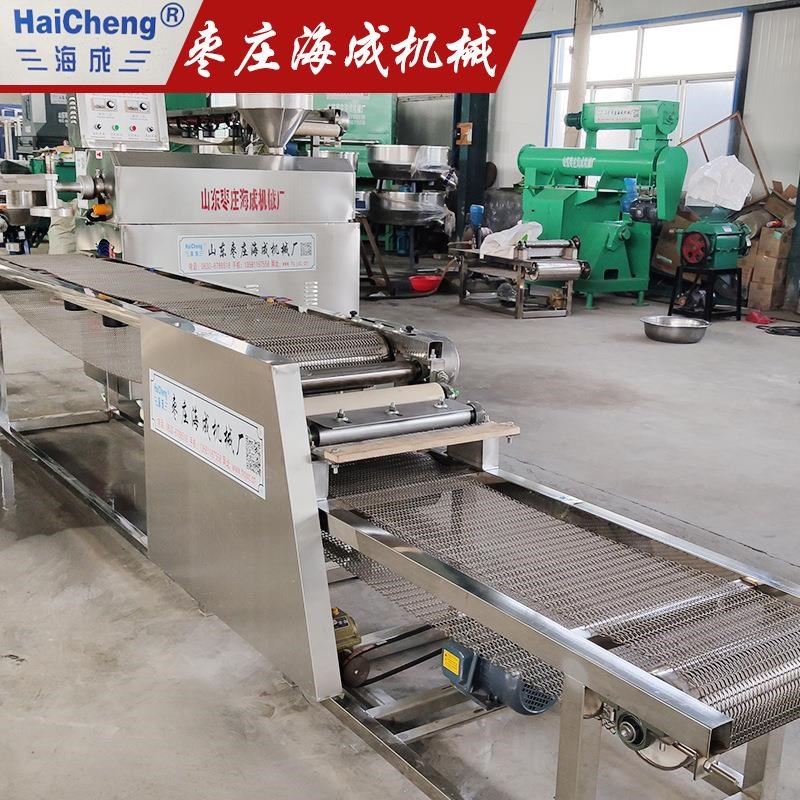 红薯粉机成d宽套设HC-FT500备电动免螺旋绞龙粉条条机多冻功能商