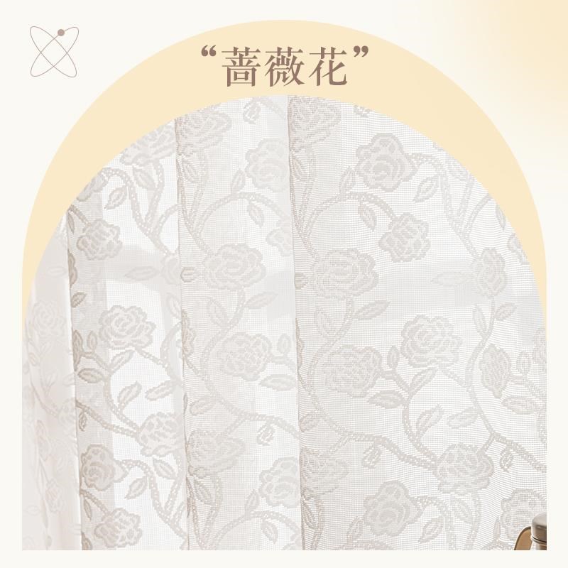 法式纱帘透阳台人2024新款蕾丝窗帘卧室风光不透纱梦幻帘窗纱