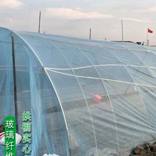 新型小拱棚支架拱杆实心玻璃纤维棒塑料温室养殖农用蔬菜大棚骨架