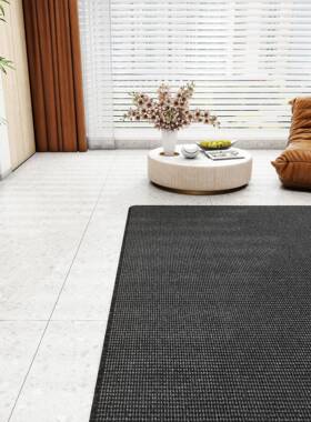2024款素耐脏黑色客厅F779H97J地毯免新洗纯色沙茶几毯色轻奢简发
